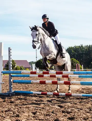 Diamond Executive Travel